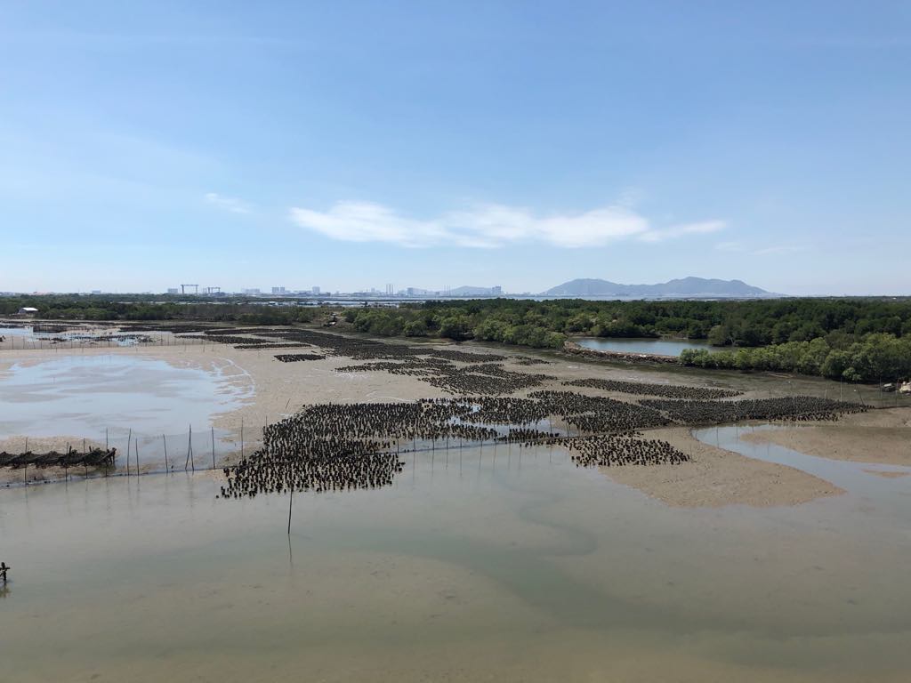 Bà Rịa – Vũng Tàu: Giá đất Long Sơn tăng chóng mặt