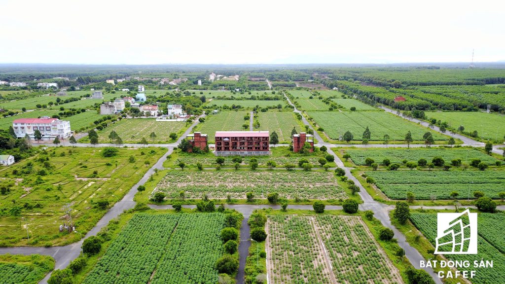 Bất động sản Đồng Nai trong cơn bão “ảo” Bài 2: “Xẻ thịt” đất nông nghiệp