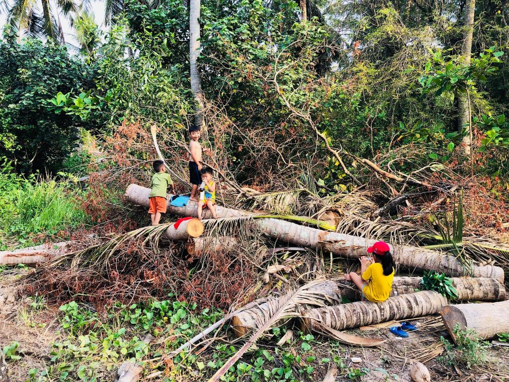 Quảng Ngãi định giao cho FLC những loại đất nào?