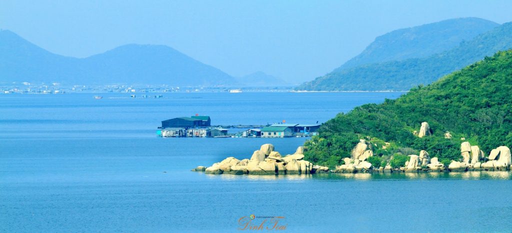 Phá rừng, chiếm đất tại Vân Phong