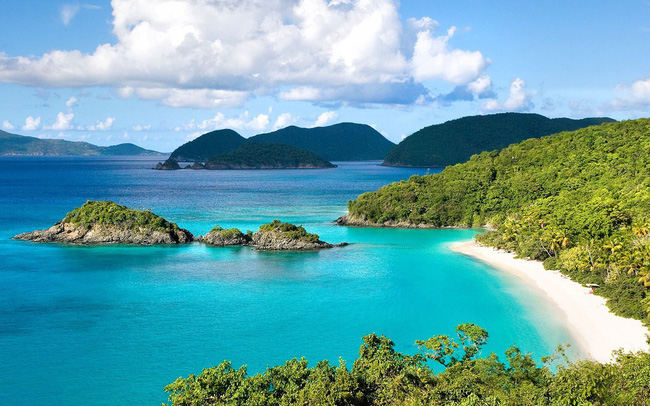 Rao bán cả đảo, đất lâm nghiệp tại 3 đặc khu bất chấp lệnh tạm dừng