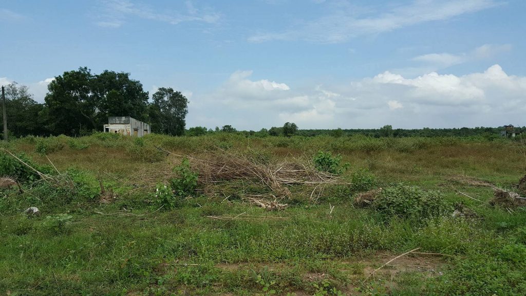 “Trái đắng” đất Bình Dương