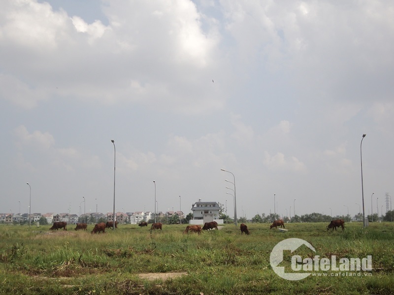 Sôi động đất nền quận 9