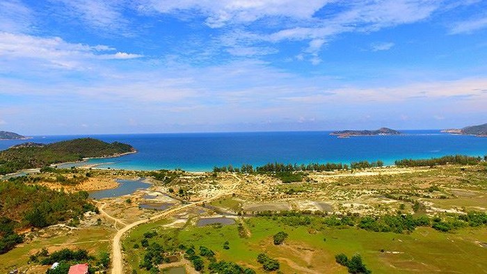 Siêu dự án nghìn tỷ ven biển Ninh Thuận thành nơi chăn bò, thả dê