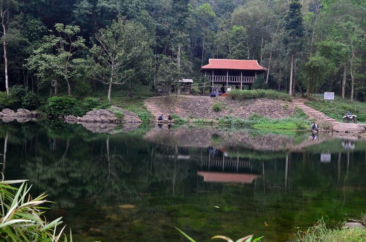 Bà Rịa – Vũng Tàu: 2/3 dự án du lịch sinh thái trong rừng bị chậm tiến độ và thu hồi