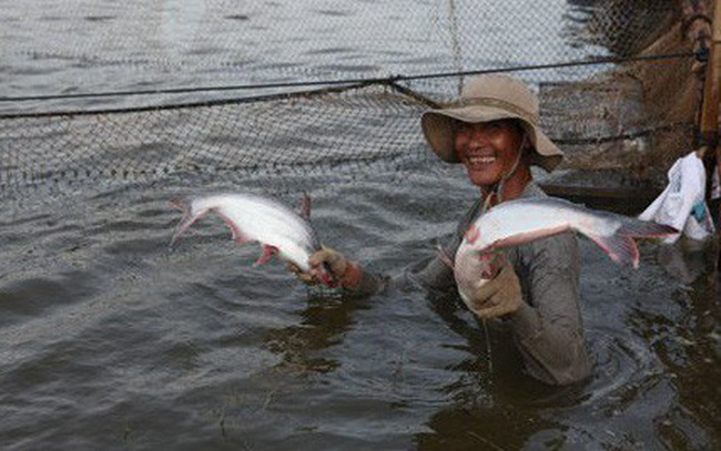 ANV: 6 tháng lãi 189 tỷ đồng cao gấp gần 4 lần cùng kỳ