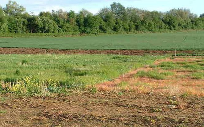 Lập hồ sơ giả xin giao đất, rút ruột ngân sách