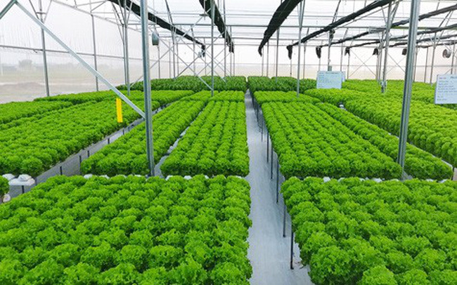 Bãi bỏ một loạt phí, lệ phí trong lĩnh vực nông nghiệp