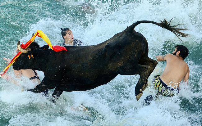 Dòng tiền lan tỏa khắp thị trường, Vn-Index tiếp tục tăng hơn 12 điểm