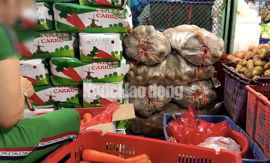 NÔNG SẢN TRUNG QUỐC NHÁI HÀNG ĐÀ LẠT (*): Ồ ạt đổ về TP HCM