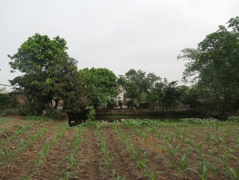 TP HCM hưởng lợi gì từ việc chuyển đổi 26.000 ha đất nông nghiệp?