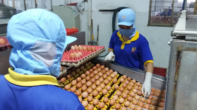 Ba Huân có bị VinaCapital lừa góp vốn?