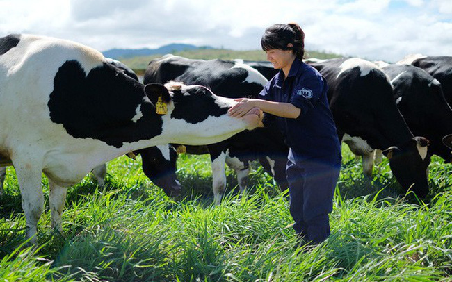 Thị trường sữa đã bão hòa, Vinamilk còn đất nào để tăng trưởng?