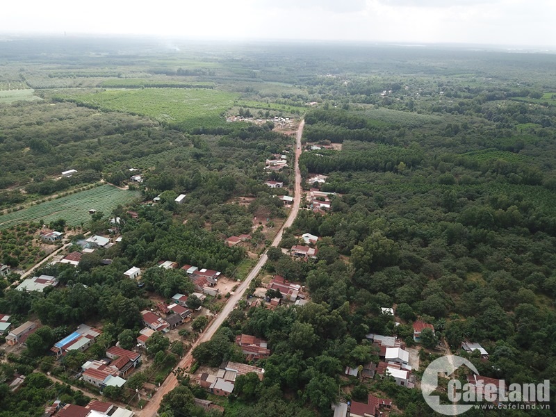 Điều chỉnh địa giới hành chính 6 xã thuộc dự án sân bay Long Thành