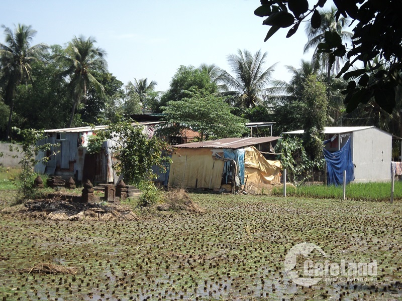 Bình Quới – Thanh Đa, bao giờ hết long đong?
