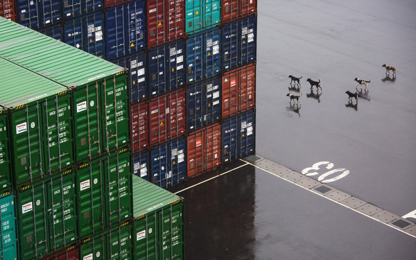 Nhìn vào 3 mặt hàng này mới thấy tổng thống Trump khó thắng nổi Trung Quốc trong chiến tranh thương mại