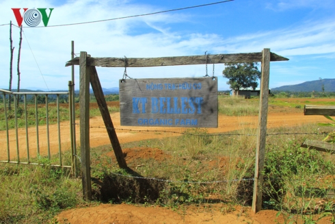 Nháo nhào dự án, đất hoang lấn át rau hoa xứ lạnh Măng Đen