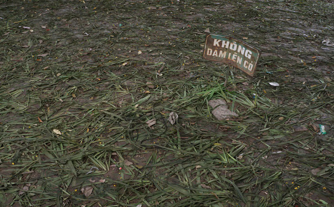 Vườn hoa Hồ Gươm bị “san phẳng” sau đêm đón năm mới: Chúng tôi dụi mắt mới nhận ra