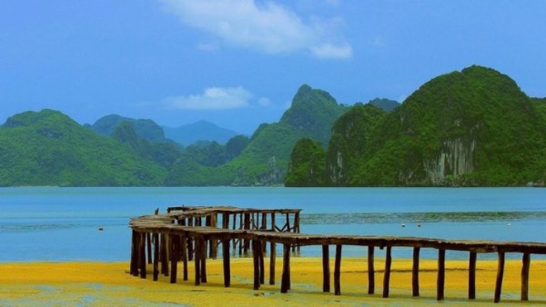 Cận cảnh cầu gỗ vươn biển dài nhất Quảng Ninh khiến nhiều teen phát hờn