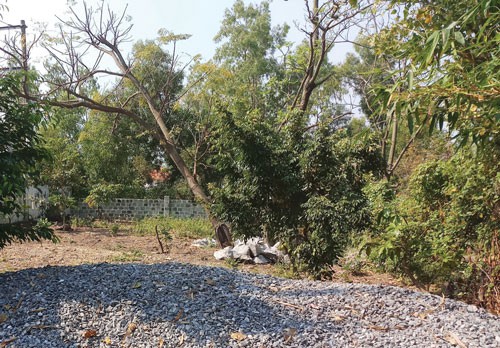 Bất động sản 24h: Dân bức xúc vì tình trạng lấn chiếm đất công