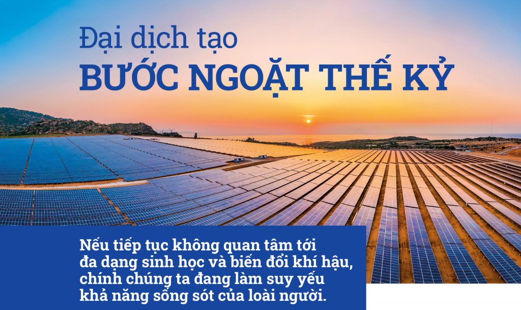 Đại dịch tạo bước ngoặc thế kỷ