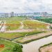 Những dự án ‘khó ăn’ của Keppel Land Việt Nam tại TP.HCM