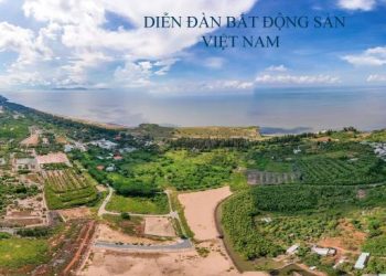 Đề xuất xây sân bay nhỏ ở Cần Giờ