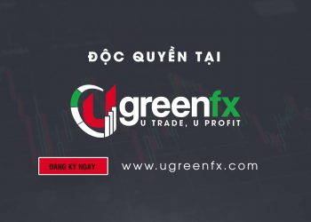 Đầu tư 50 triệu đồng thu về 1 tỷ đồng, chiêu trò đưa nhà đầu tư vào thòng lọng