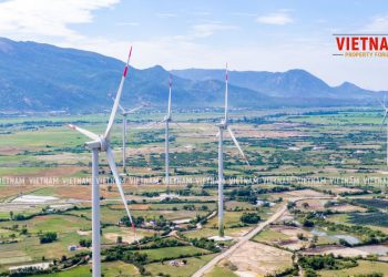 “Cơn lốc” điện mặt trời quét qua, quy hoạch đất đai bị phá nát – Bài 3: “Núp bóng” trang trại