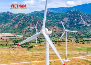 “Cơn lốc” điện mặt trời quét qua, quy hoạch đất đai bị phá nát – Bài 3: “Núp bóng” trang trại