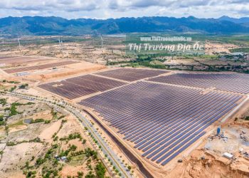 “Cơn lốc” điện mặt trời quét qua, quy hoạch đất đai bị phá nát – Bài 1: “Mọc” trên đất nông nghiệp, “ký sinh” trong khu công nghiệp