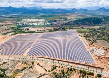 “Cơn lốc” điện mặt trời quét qua, quy hoạch đất đai bị phá nát – Bài 1: “Mọc” trên đất nông nghiệp, “ký sinh” trong khu công nghiệp