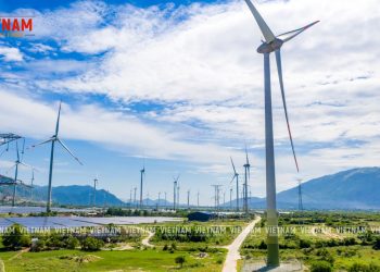 “Cơn lốc” điện mặt trời quét qua, quy hoạch đất đai bị phá nát – Bài 3: “Núp bóng” trang trại