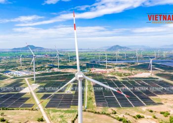 Trungnam Group khánh thành dự án điện gió hơn 1.600 tỷ tại Ninh Thuận