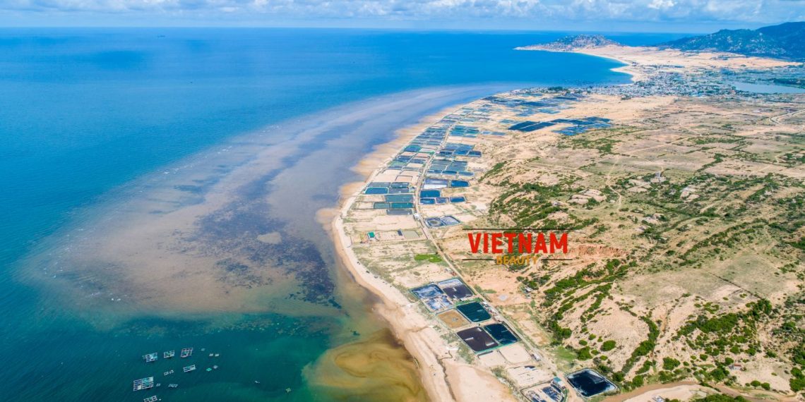 Đầu tư 6.000 tỷ đồng cho tuyến Nam Định – Lạc Quần – Đường bộ ven biển