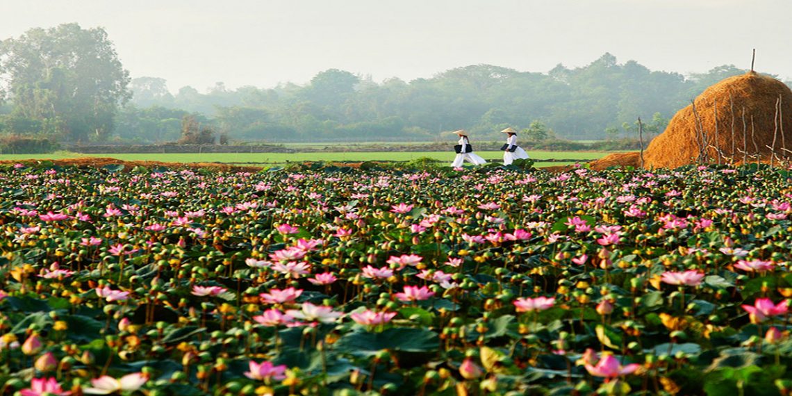 NovaGroup lên ý tưởng dự án 7.500ha tại Đồng Tháp, có sân gôn, casino và sân bay