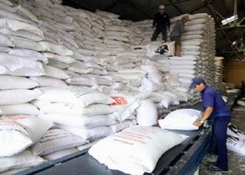 Doanh nghiệp gạo hạ thấp kỳ vọng lợi nhuận