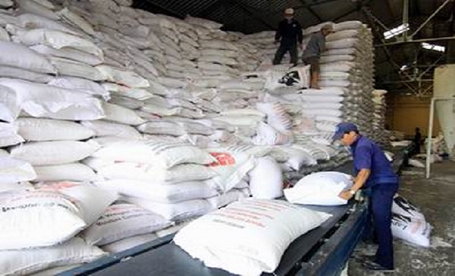 Doanh nghiệp gạo hạ thấp kỳ vọng lợi nhuận