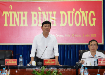 Bình Dương thông qua Quy hoạch chi tiết 1/2.000 VSIP III và Quy hoạch chung thị xã Bến Cát đến năm 2040
