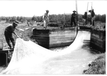 50 năm non sông liền một dải – Bài 4: Năng động, dám nghĩ, dám làm, tạo kỳ tích kinh tế TPHCM