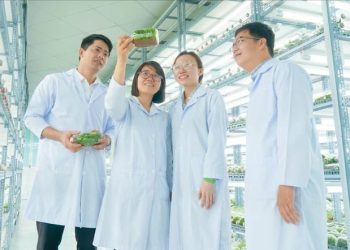 50 năm non sông liền một dải – Bài 11: Khoa học công nghệ khẳng định vai trò động lực