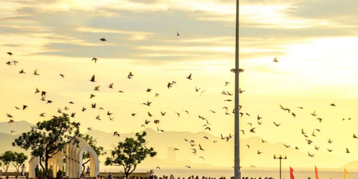 Bất động sản Nha Trang đón sóng “di cư”