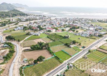 Đẩy nhanh tiến độ Dự án Điện hạt nhân