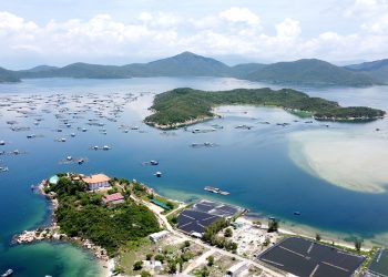 Rà soát lại hiện trạng rừng, đất rừng liên quan đến các dự án tại Khu kinh tế Vân Phong