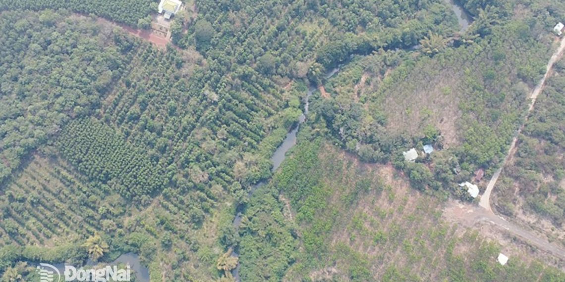 Công ty Đại Quang Minh đề nghị được lập hồ sơ đề xuất dự án xây dựng tuyến đường kết nối