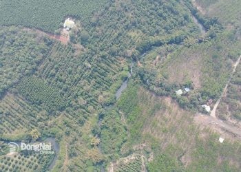 Công ty Đại Quang Minh đề nghị được lập hồ sơ đề xuất dự án xây dựng tuyến đường kết nối