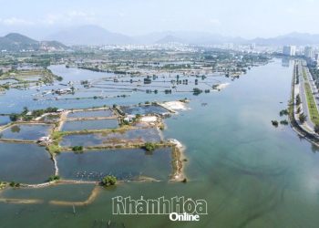 Khánh Hòa: 4 dự án lớn chào mừng kỷ niệm 80 năm Ngày Quốc khánh dự kiến khởi công vào ngày 19-8