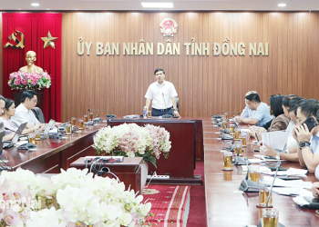 Trình Ban Thường vụ Tỉnh ủy Đồng Nai hồ sơ Dự án kéo dài tuyến metro Bến Thành – Suối Tiên về Trấn Biên, Sân bay Long Thành