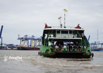 Cầu Cát Lái – dự án được người dân chờ đợi