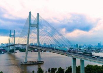 TP. HCM: Một doanh nghiệp muốn đầu tư hơn 10.000 tỷ làm cầu Phú Mỹ 2